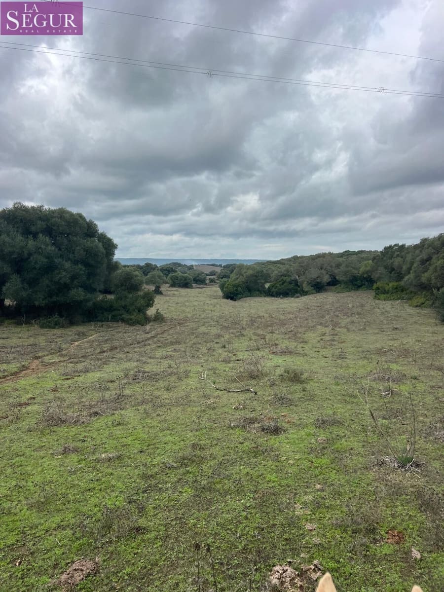 Terreno/Finca Rústica en Vejer de la Frontera en venta - 685.000 € (Ref: 9807890)