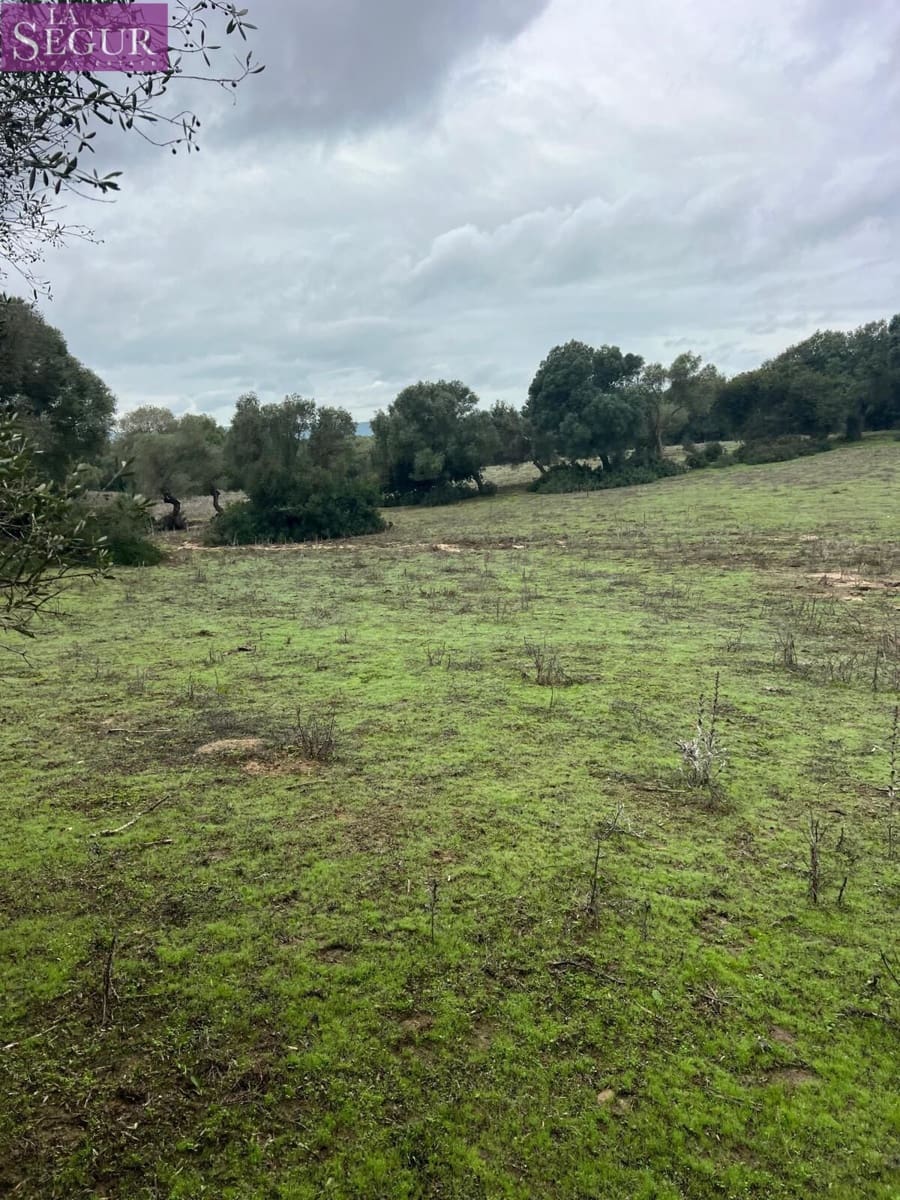 Terreno/Finca Rústica en Vejer de la Frontera en venta - 685.000 € (Ref: 9807890)