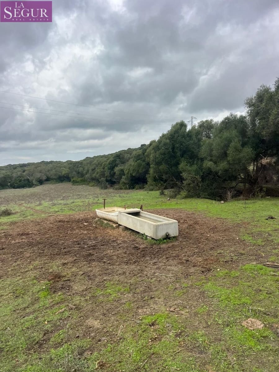 Terreno/Finca Rústica en Vejer de la Frontera en venta - 685.000 € (Ref: 9807890)