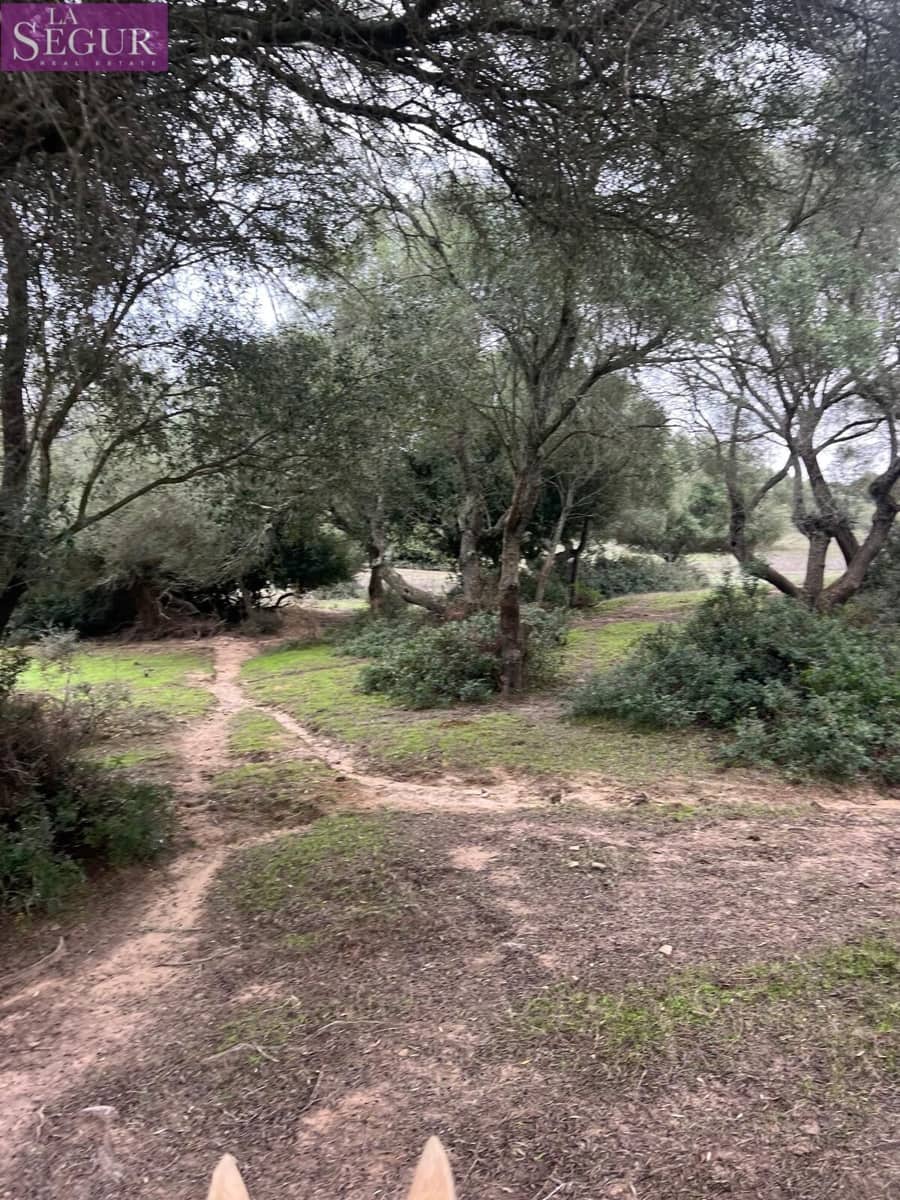 Terreno/Finca Rústica en Vejer de la Frontera en venta - 685.000 € (Ref: 9807890)
