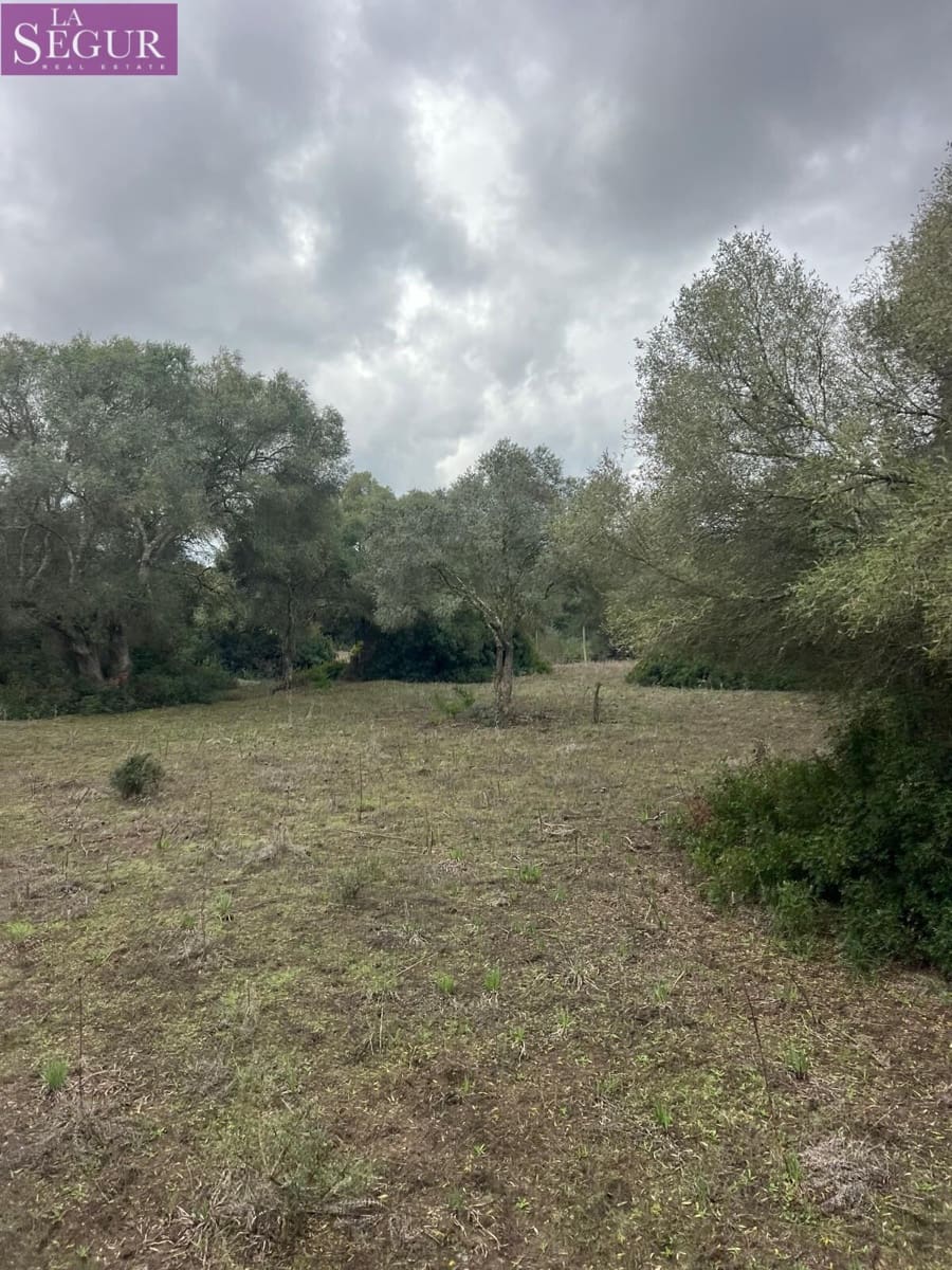 Terreno/Finca Rústica en Vejer de la Frontera en venta - 685.000 € (Ref: 9807890)