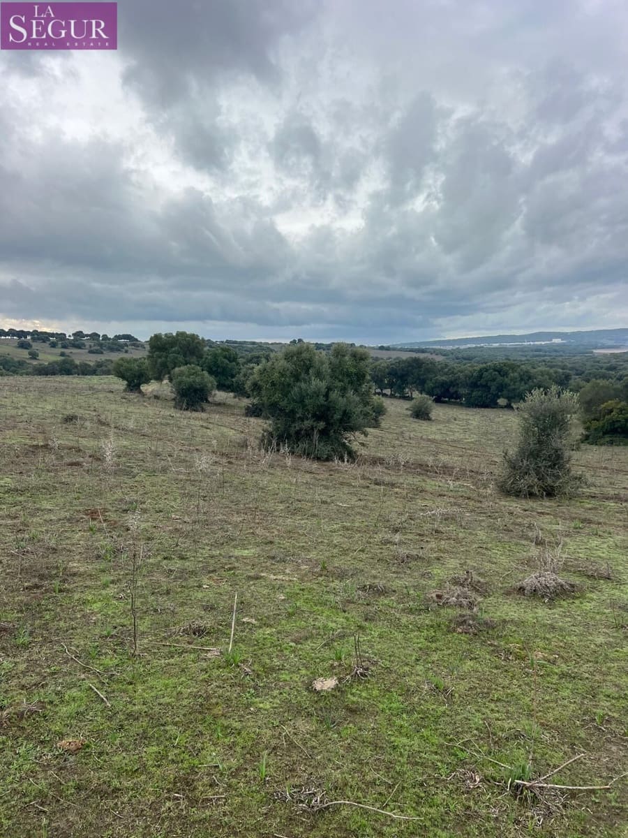 Terreno/Finca Rústica en Vejer de la Frontera en venta - 685.000 € (Ref: 9807890)