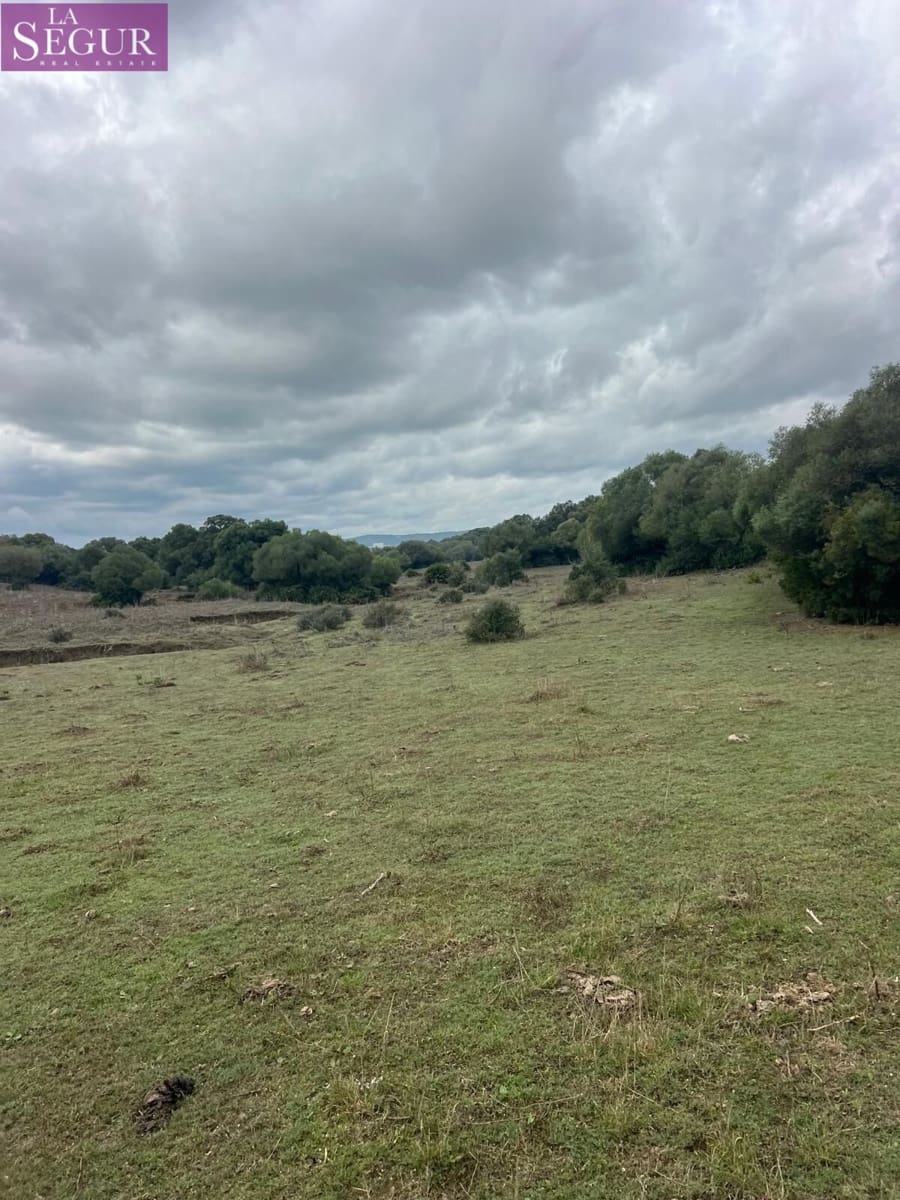 Terreno/Finca Rústica en Vejer de la Frontera en venta - 685.000 € (Ref: 9807890)