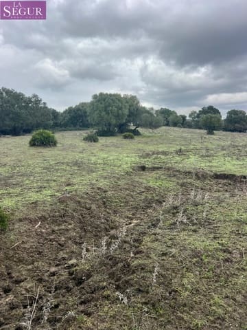 Terreno/Finca Rústica en Vejer de la Frontera en venta - 685.000 € (Ref: 9807890)