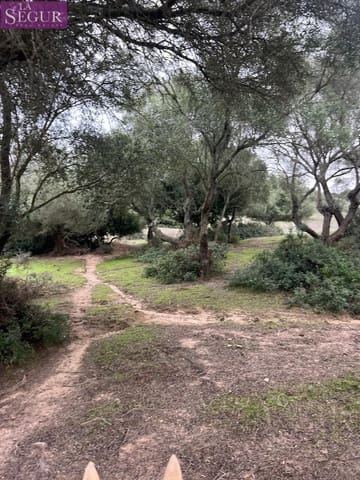 Terreno/Finca Rústica en Vejer de la Frontera en venta - 685.000 € (Ref: 9807890)