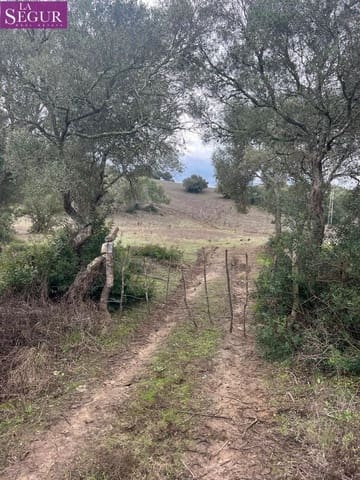 Terreno/Finca Rústica en Vejer de la Frontera en venta - 685.000 € (Ref: 9807890)