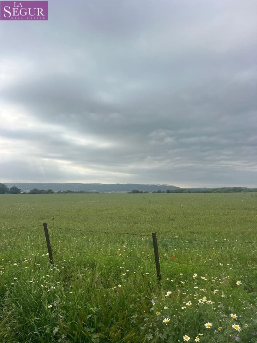 Teren niezagospodarowany na sprzedaż w Vejer de la Frontera - 375 000 € (Ref: 9807891)