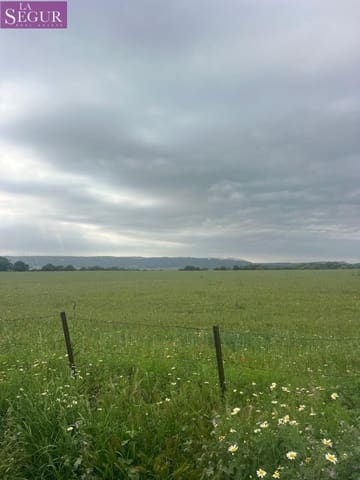 Teren niezagospodarowany na sprzedaż w Vejer de la Frontera - 375 000 € (Ref: 9807891)