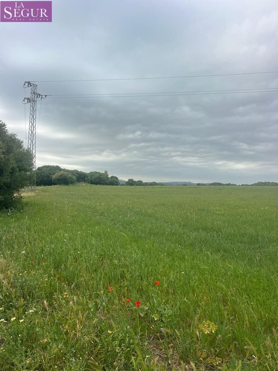 Teren niezagospodarowany na sprzedaż w Vejer de la Frontera - 375 000 € (Ref: 9807891)