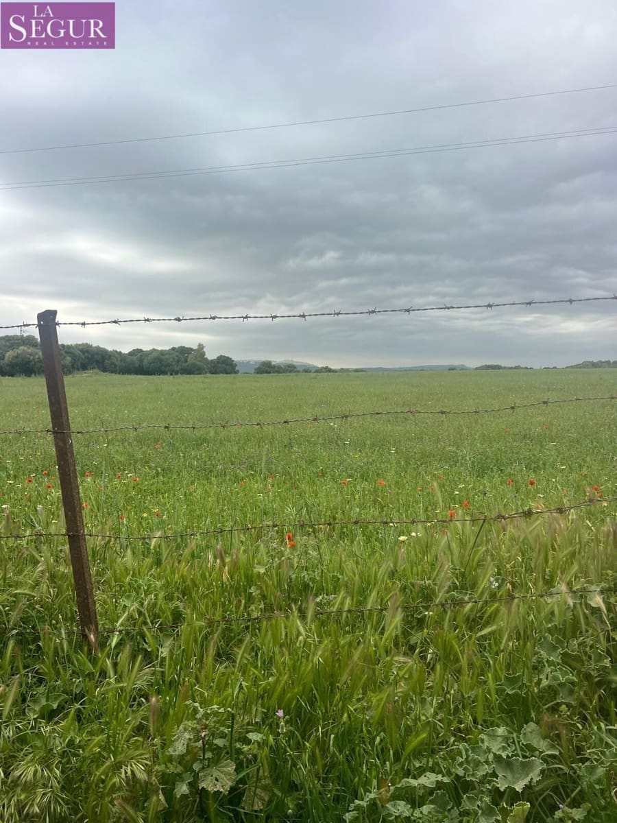 Teren niezagospodarowany na sprzedaż w Vejer de la Frontera - 375 000 € (Ref: 9807891)