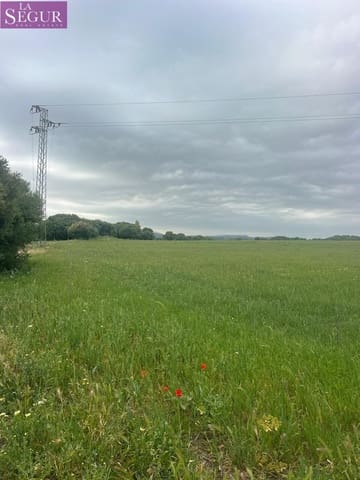 Teren niezagospodarowany na sprzedaż w Vejer de la Frontera - 375 000 € (Ref: 9807891)