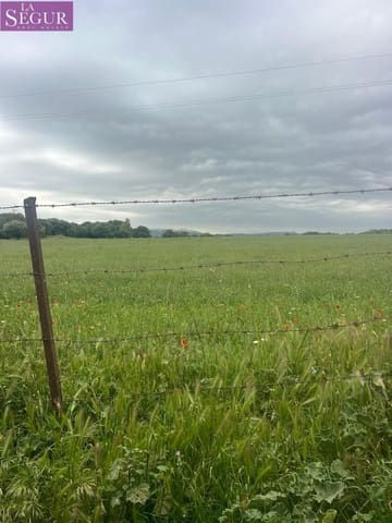 Teren niezagospodarowany na sprzedaż w Vejer de la Frontera - 375 000 € (Ref: 9807891)