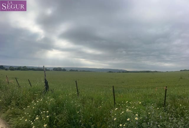 Teren niezagospodarowany na sprzedaż w Vejer de la Frontera - 375 000 € (Ref: 9807891)