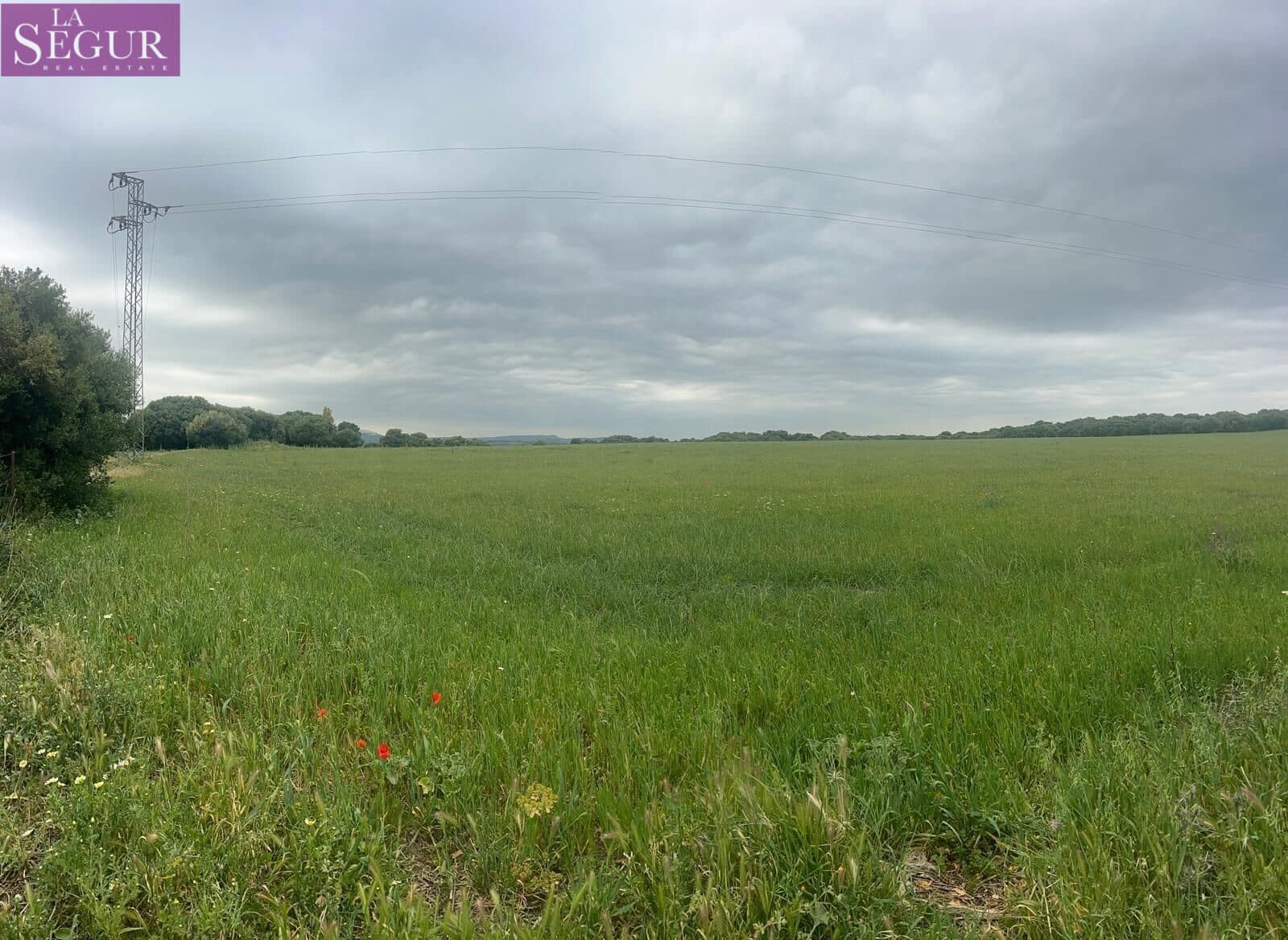 Teren niezagospodarowany na sprzedaż w Vejer de la Frontera - 375 000 € (Ref: 9807891)