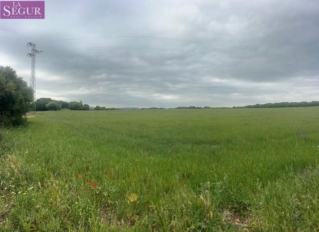 Teren niezagospodarowany na sprzedaż w Vejer de la Frontera - 375 000 € (Ref: 9807891)