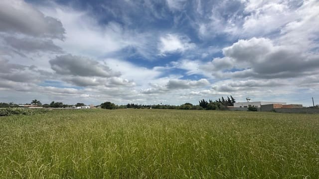 Finca/Casa di Campagna in vendita in Conil de la Frontera - 350.000 € (Rif: 9813802)