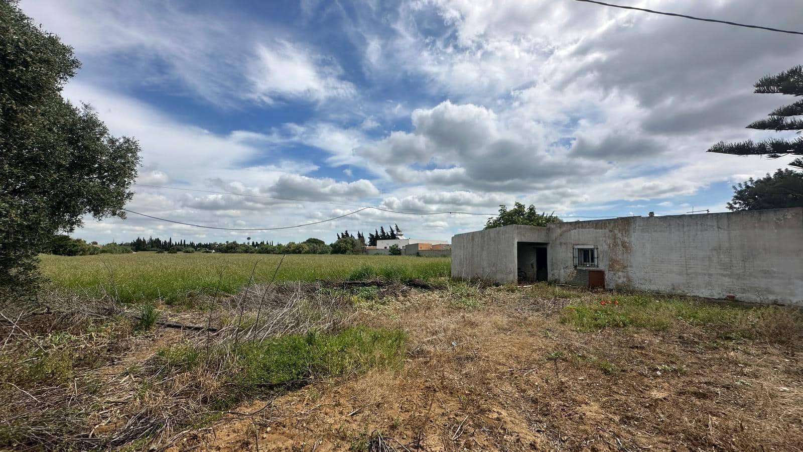 Finca/Country House for sale in Conil de la Frontera - € 350,000 (Ref: 9813802)