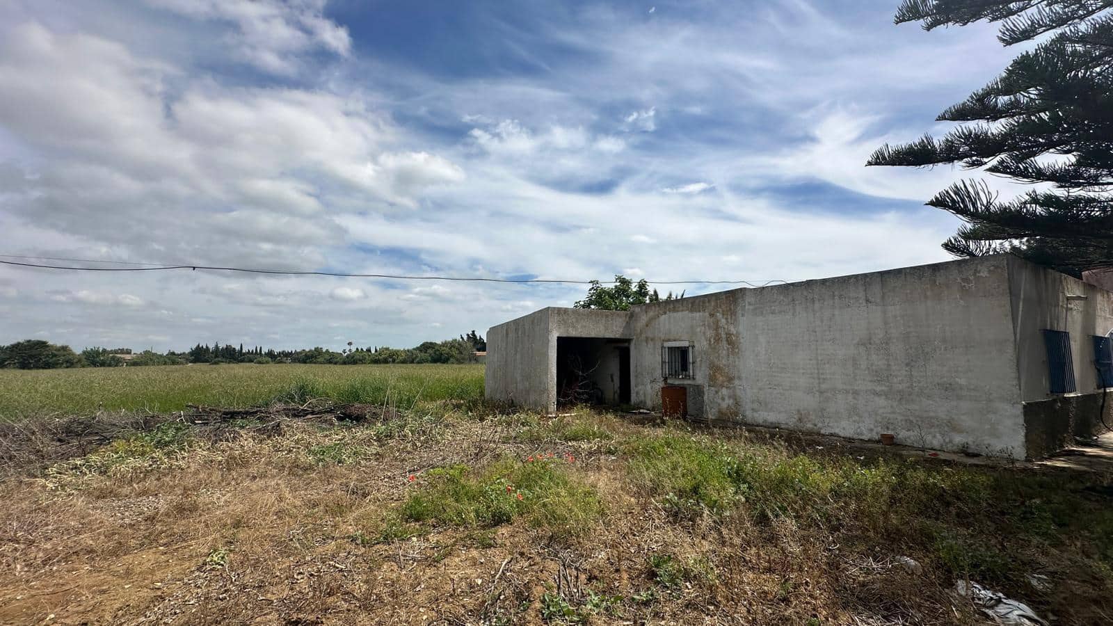 Finca/Country House for sale in Conil de la Frontera - € 350,000 (Ref: 9813802)