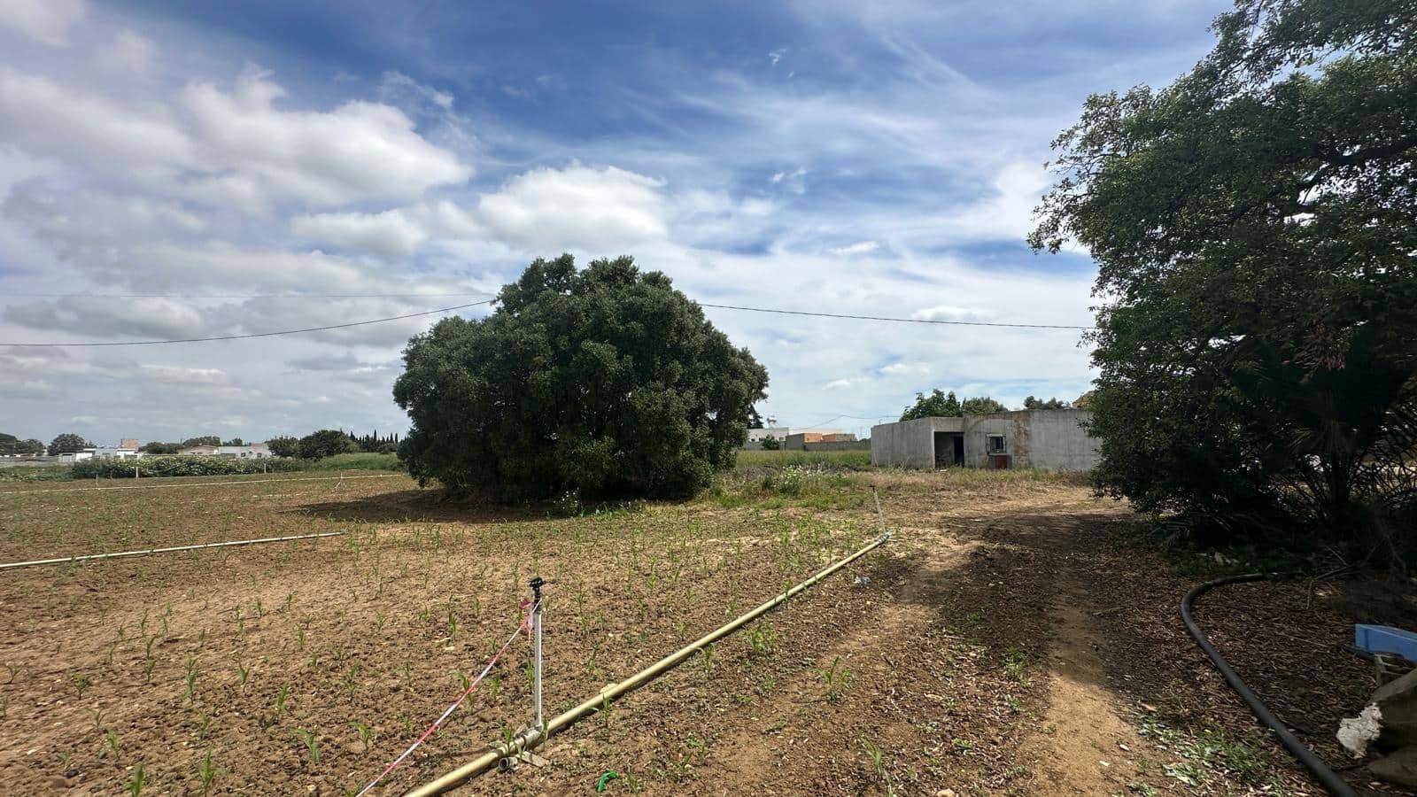 Finca/Country House for sale in Conil de la Frontera - € 350,000 (Ref: 9813802)