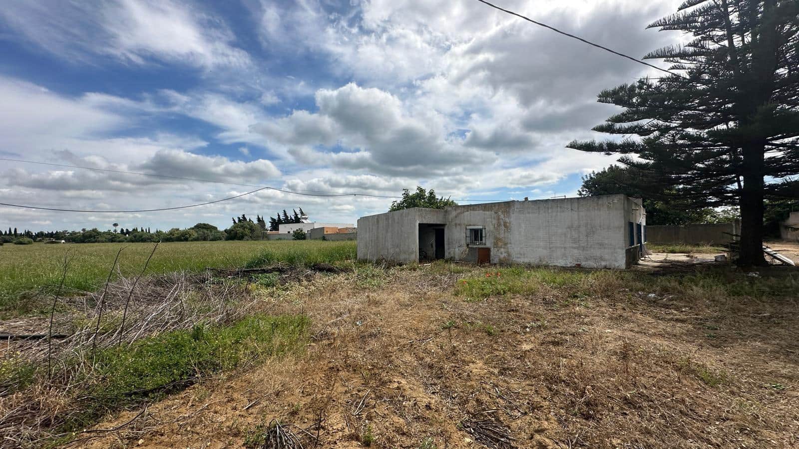 Finca/Country House for sale in Conil de la Frontera - € 350,000 (Ref: 9813802)