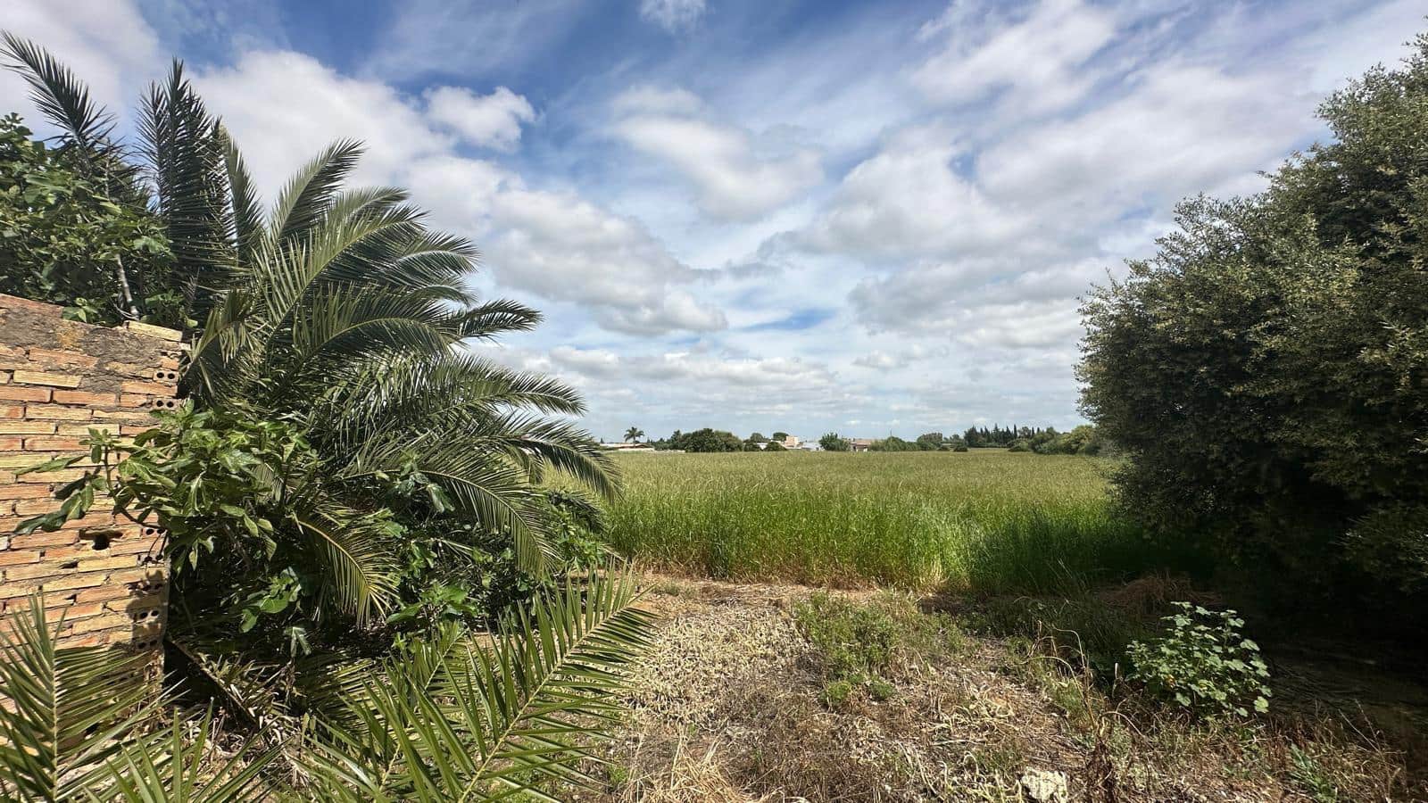 Finca/Country House for sale in Conil de la Frontera - € 350,000 (Ref: 9813802)