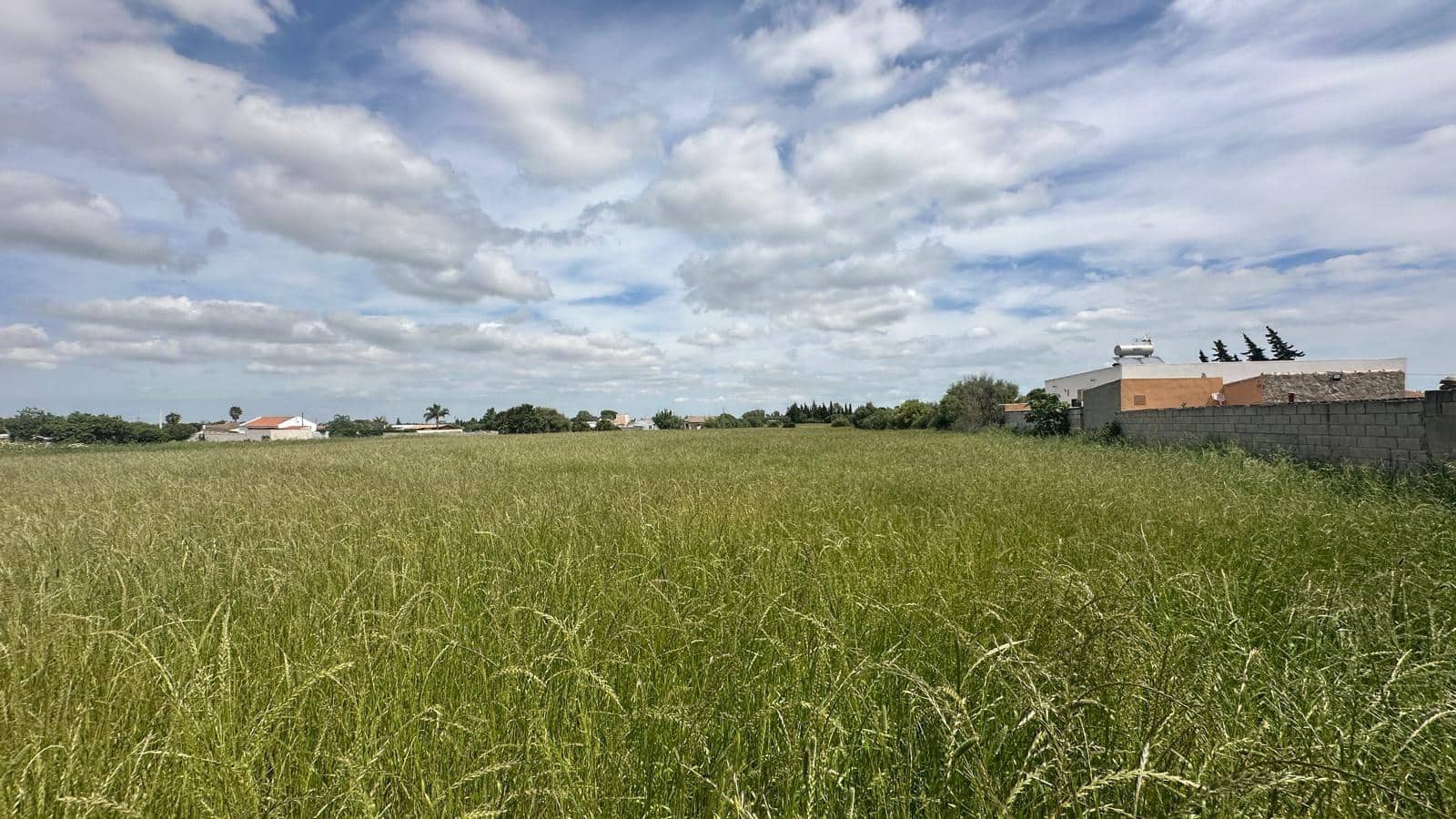 Finca/Country House for sale in Conil de la Frontera - € 350,000 (Ref: 9813802)