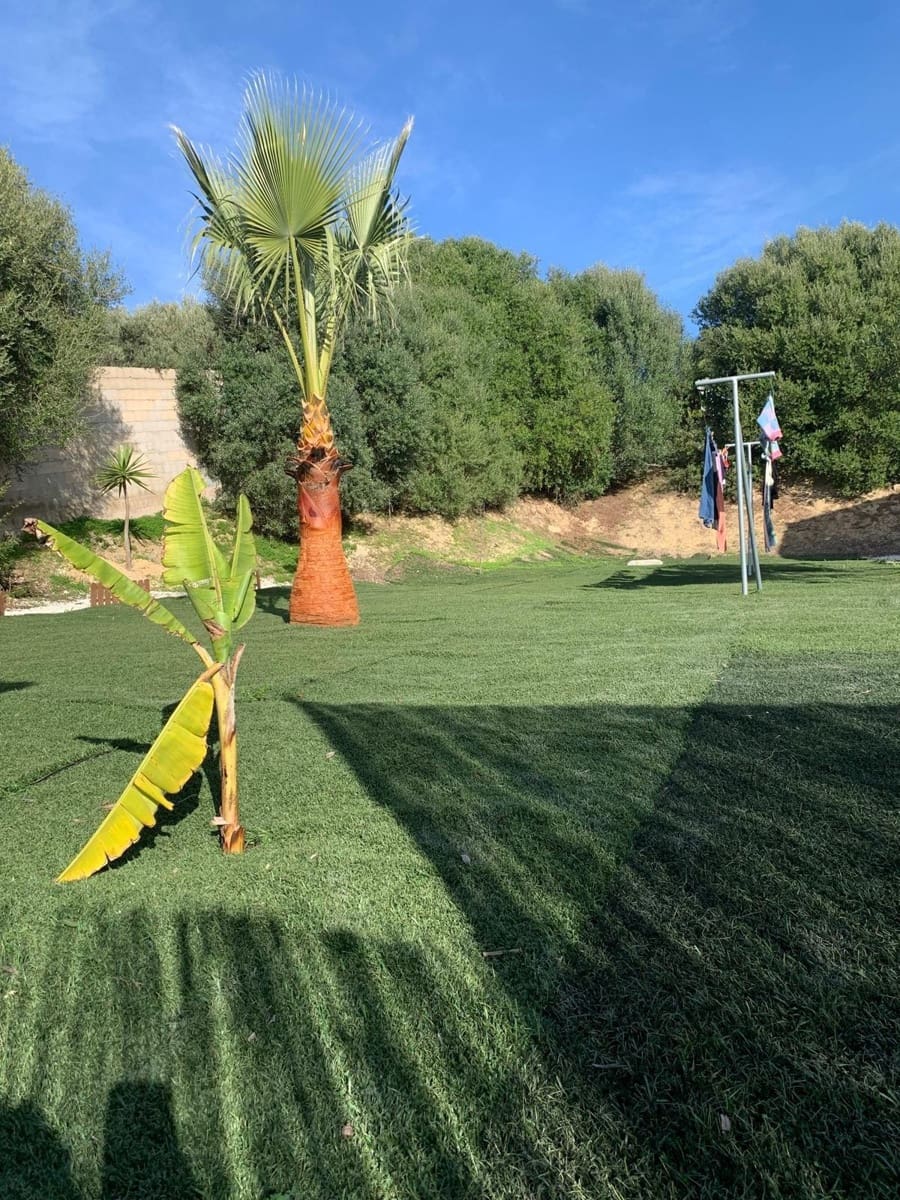 Finca/Casa Rural de 3 habitaciones en San Ambrosio en alquiler con piscina garaje - 1.100 € (Ref: 9831307)