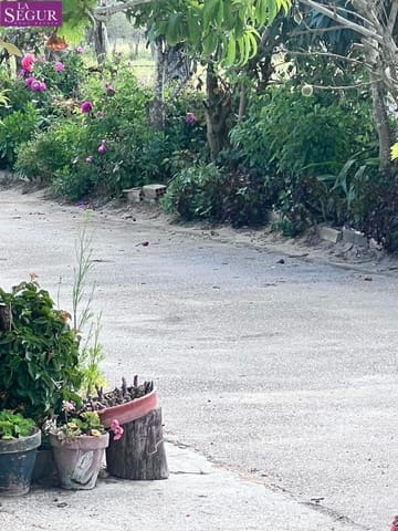 3 chambre Finca/Maison de Campagne à vendre à Vejer de la Frontera - 350 000 € (Ref: 9846181)