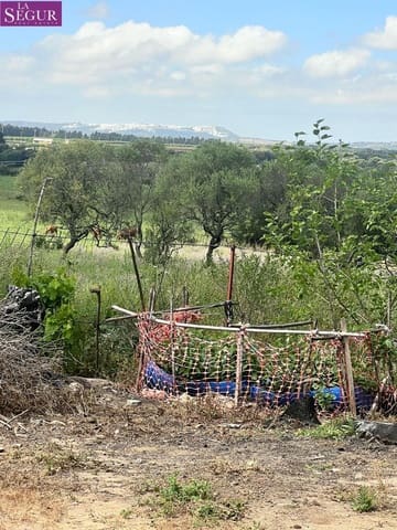 3 chambre Finca/Maison de Campagne à vendre à Vejer de la Frontera - 350 000 € (Ref: 9846181)