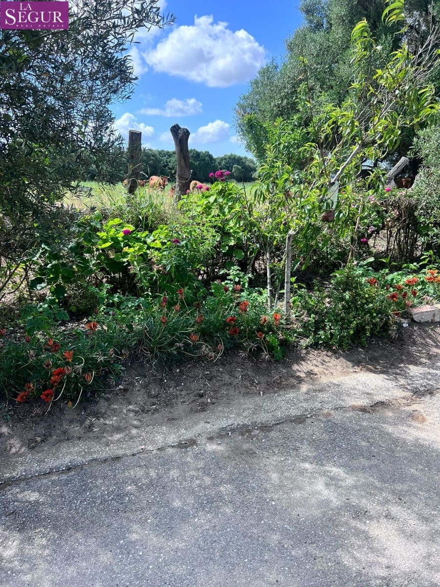 3 soveværelse Finca/Landehus til salg i Vejer de la Frontera - € 350.000 (Ref: 9846181)