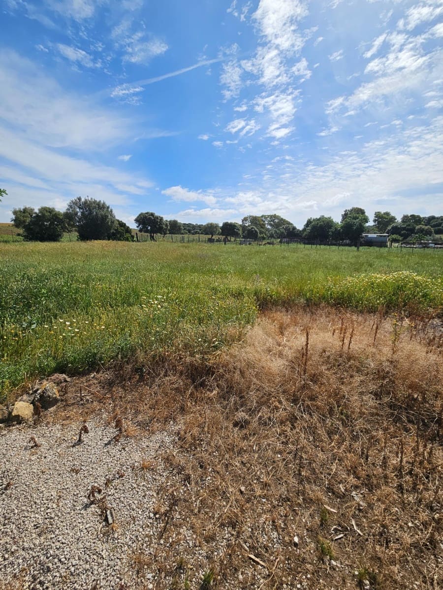 3 sypialnia Finka/Dom wiejski na sprzedaż w Vejer de la Frontera - 220 000 € (Ref: 9849297)