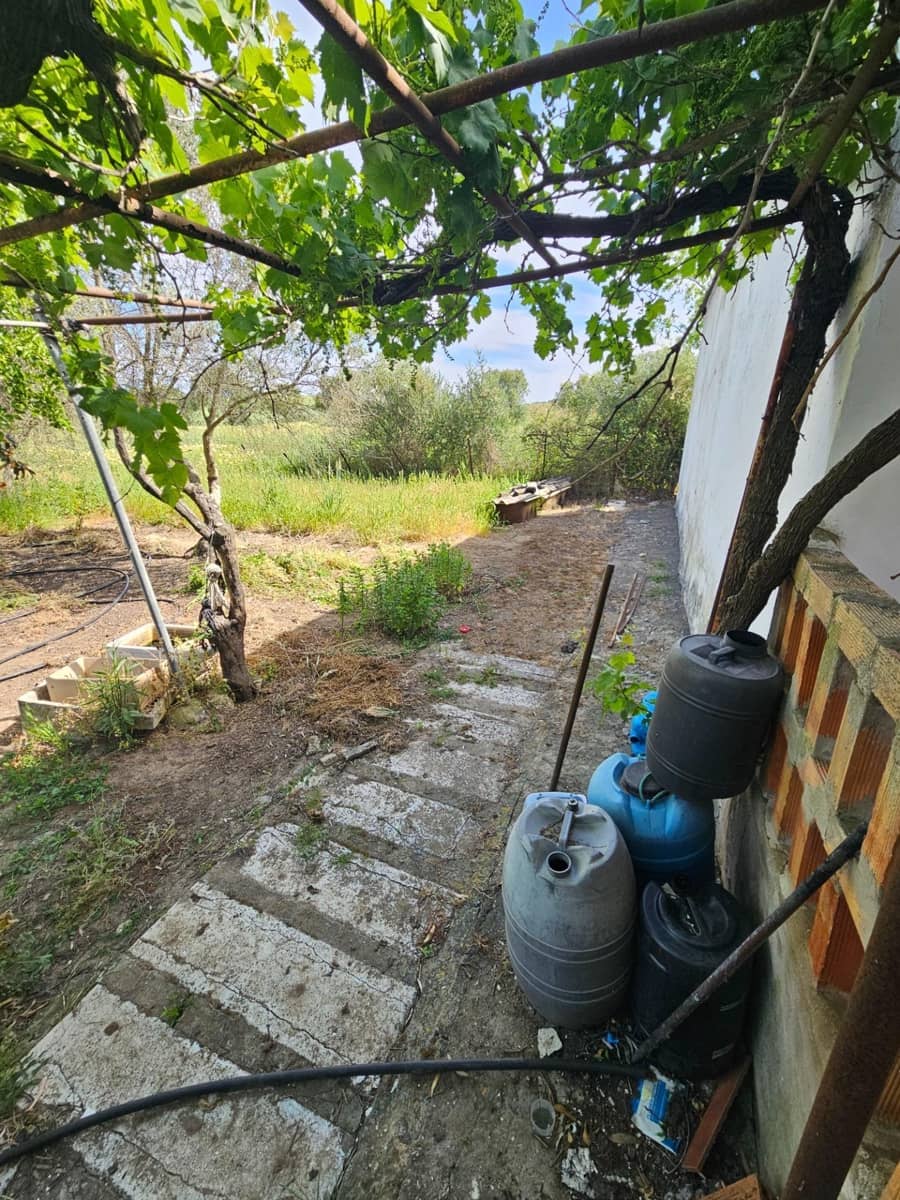 3 sypialnia Finka/Dom wiejski na sprzedaż w Vejer de la Frontera - 220 000 € (Ref: 9849297)