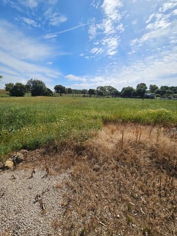 3 chambre Finca/Maison de Campagne à vendre à Vejer de la Frontera - 220 000 € (Ref: 9849297)