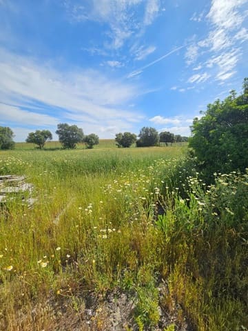 3 chambre Finca/Maison de Campagne à vendre à Vejer de la Frontera - 220 000 € (Ref: 9849297)