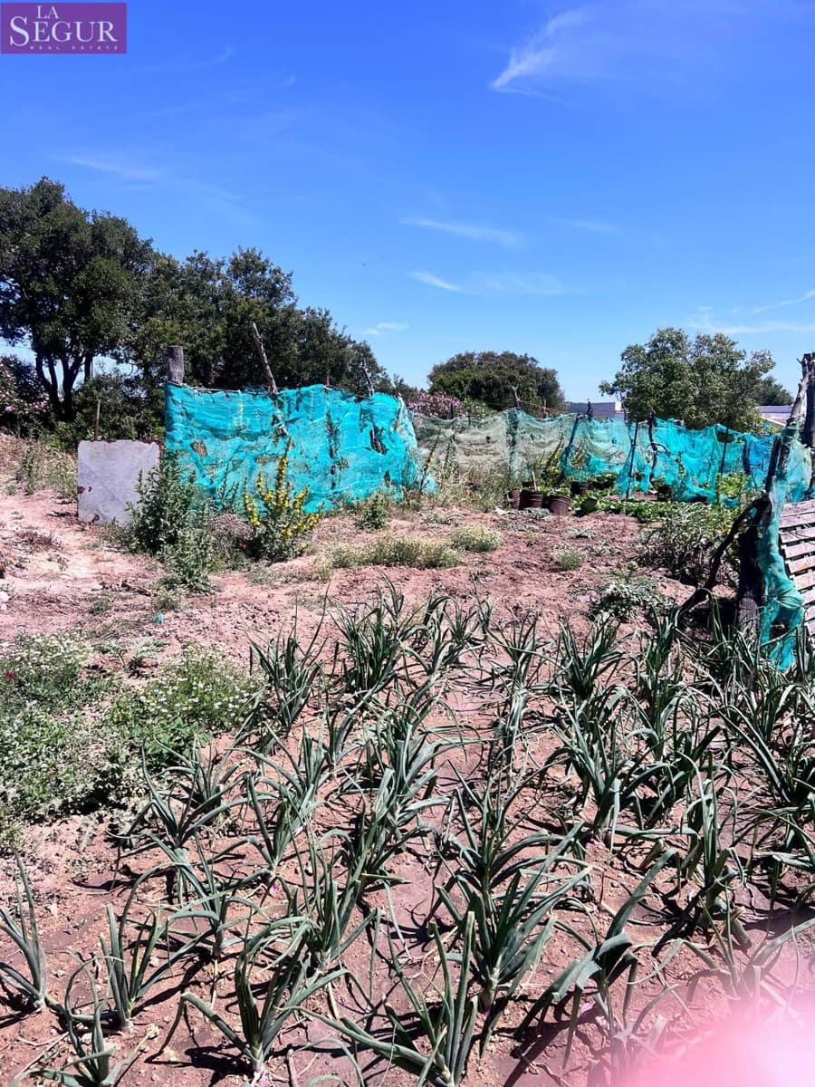 7 sovrum Finca/Hus på landet till salu i Vejer de la Frontera - 380 000 € (Ref: 9860048)