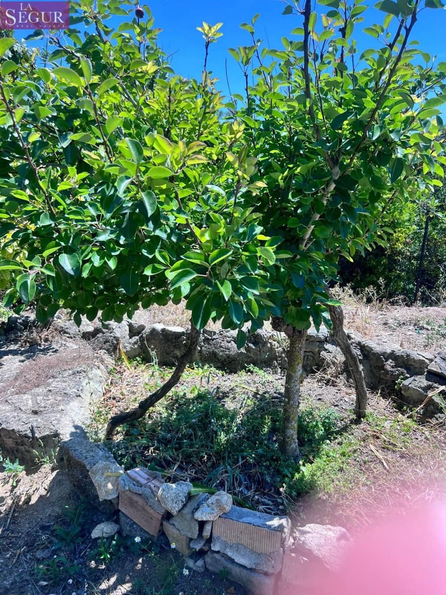 7 sovrum Finca/Hus på landet till salu i Vejer de la Frontera - 380 000 € (Ref: 9860048)