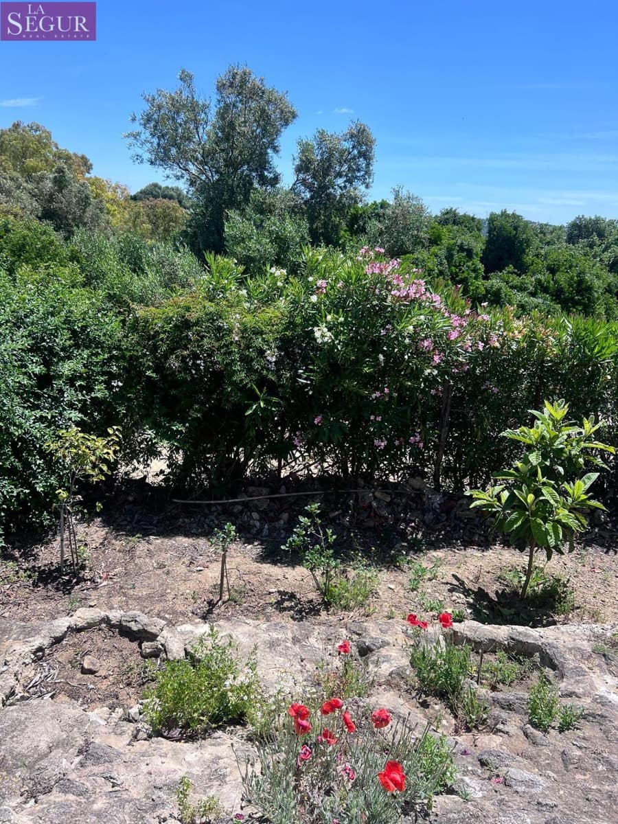 7 sovrum Finca/Hus på landet till salu i Vejer de la Frontera - 380 000 € (Ref: 9860048)