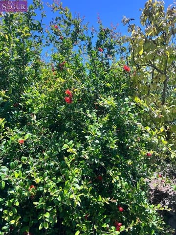 3 makuuhuone Maalaistalo myytävänä paikassa Vejer de la Frontera - 190 000 € (Ref: 9860049)