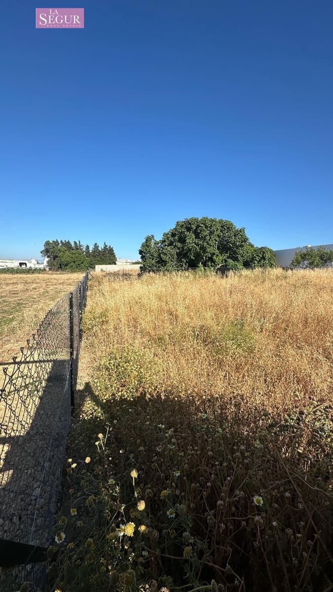 Grunde uden byggetilladelser til salg i Conil de la Frontera - € 83.000 (Ref: 9892273)