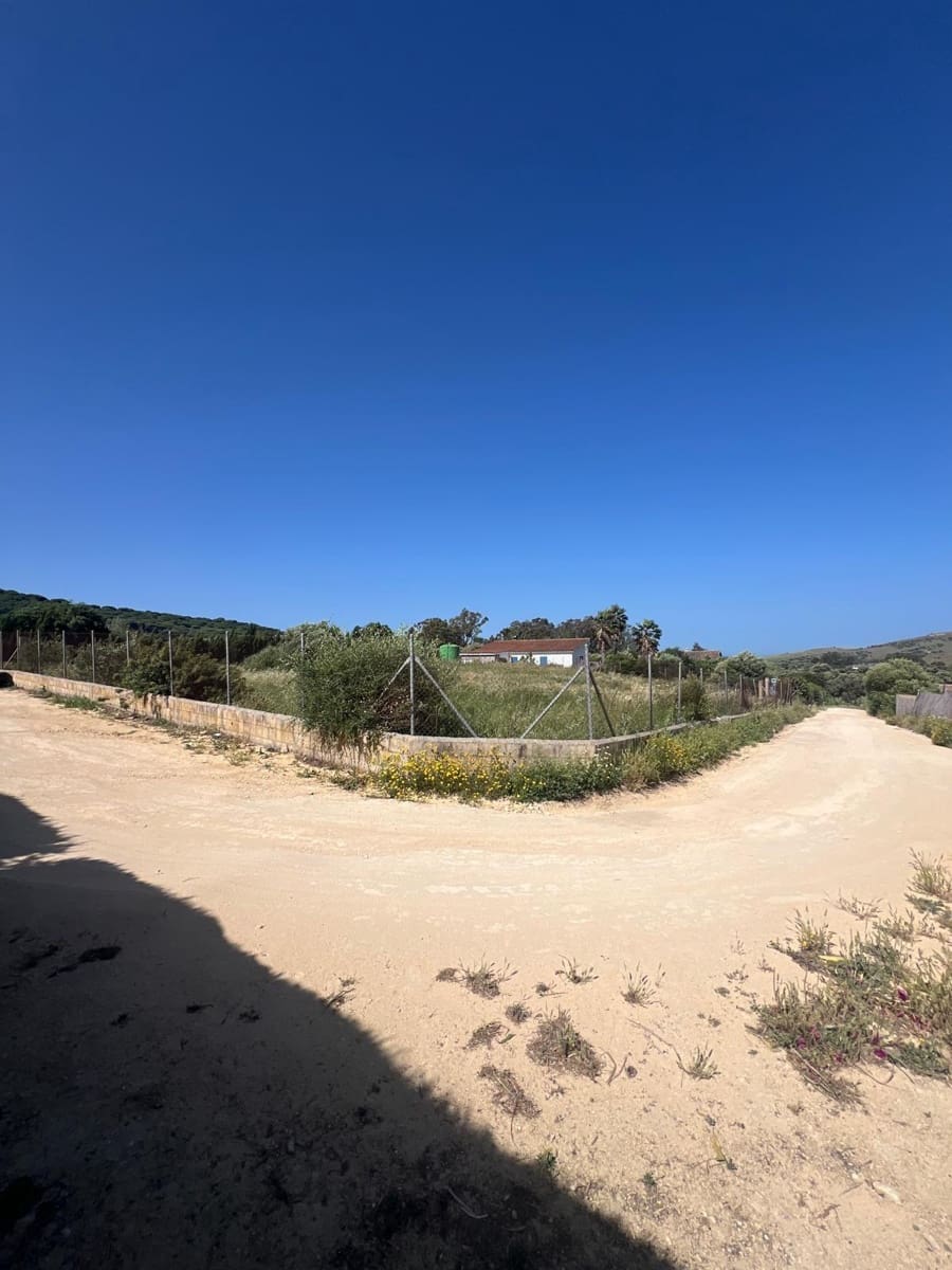 Bouwgrond te koop in San Ambrosio - € 100.000 (Ref: 9910990)