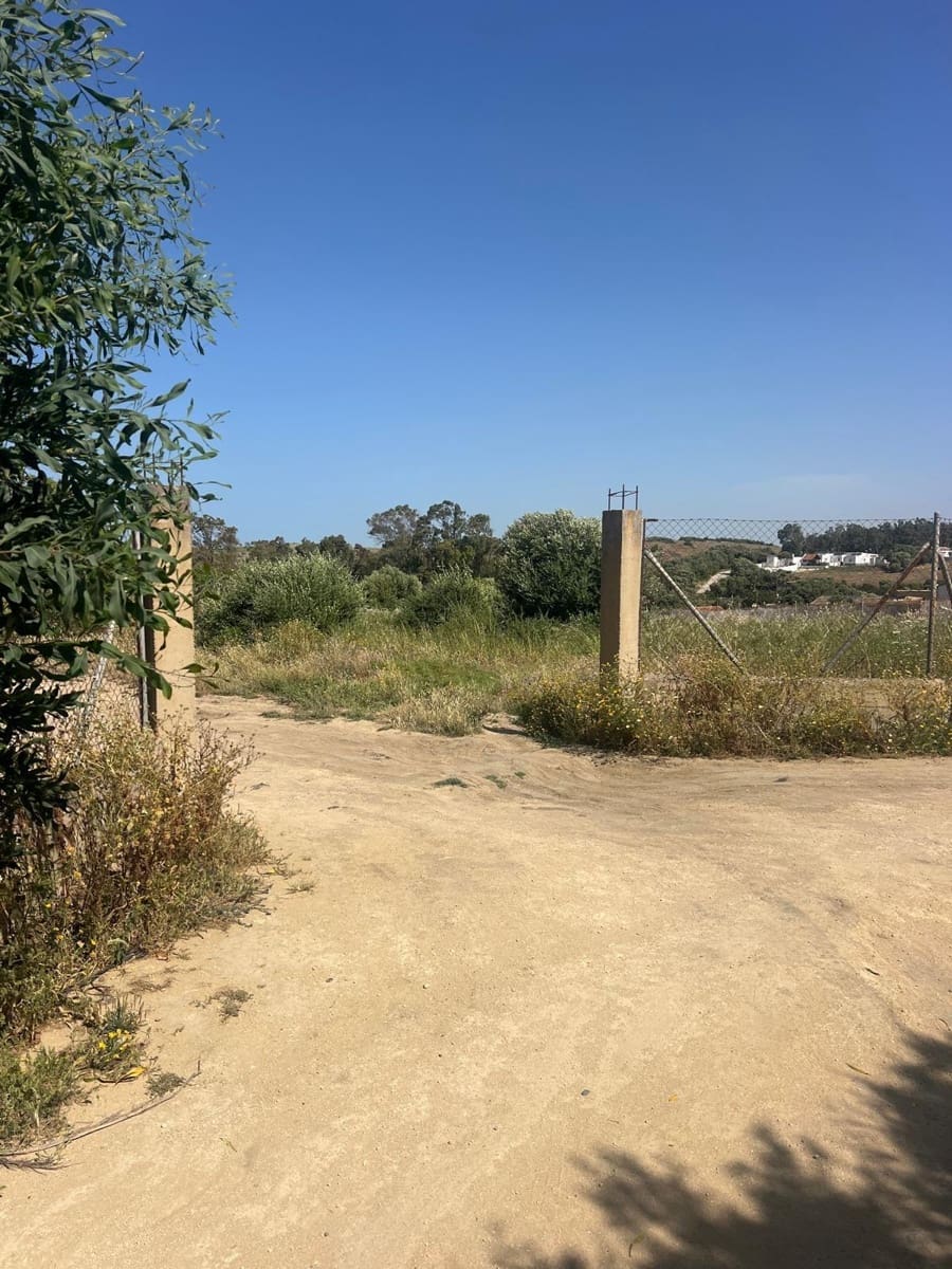 Bouwgrond te koop in San Ambrosio - € 100.000 (Ref: 9910990)