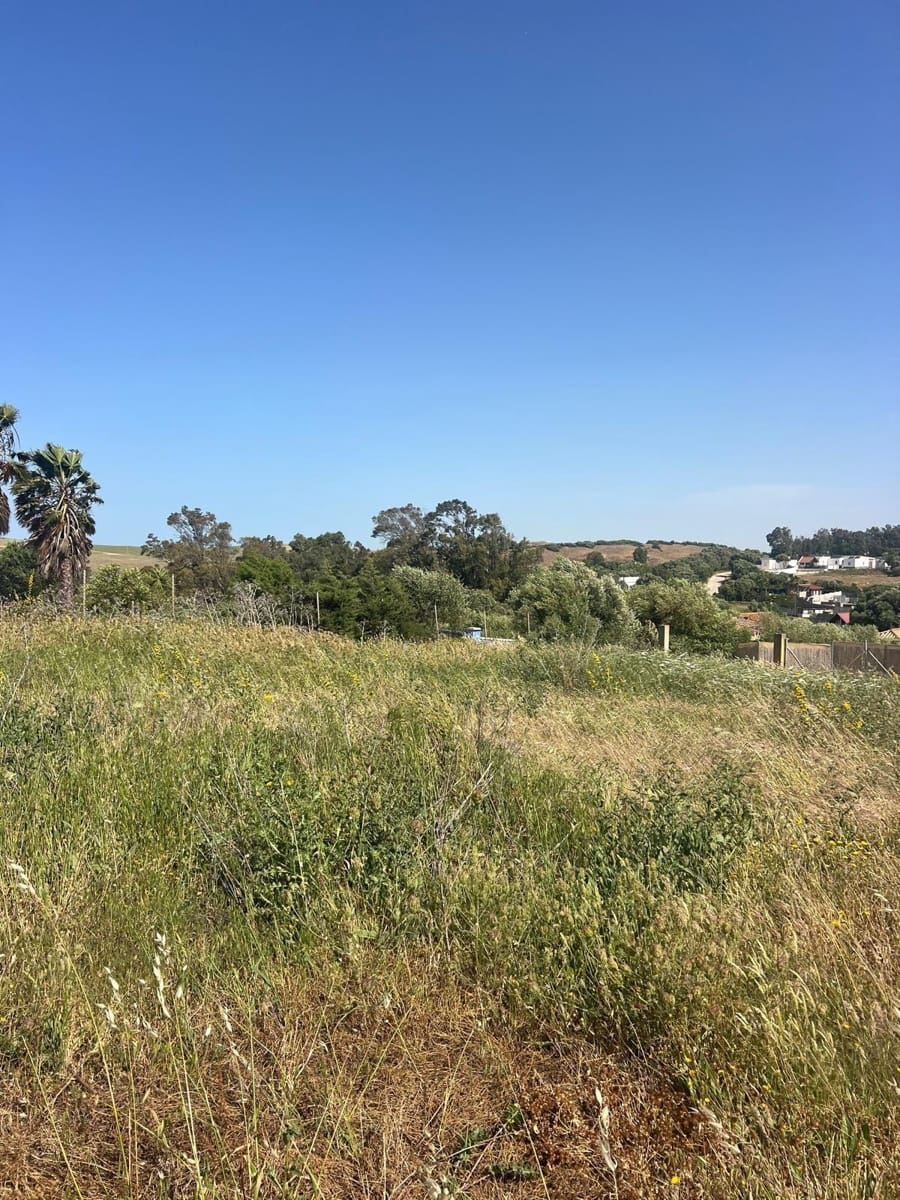 Bouwgrond te koop in San Ambrosio - € 90.000 (Ref: 9910991)