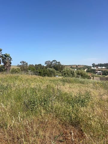 Bouwgrond te koop in San Ambrosio, Barbate - € 90.000 (Ref: 9910991)