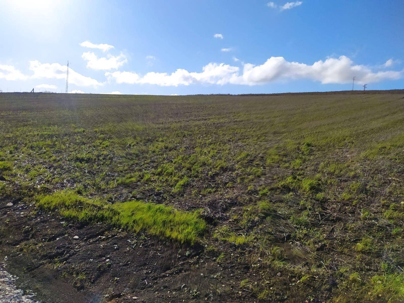 Undeveloped Land for sale in Medina-Sidonia - € 185,000 (Ref: 9927351)