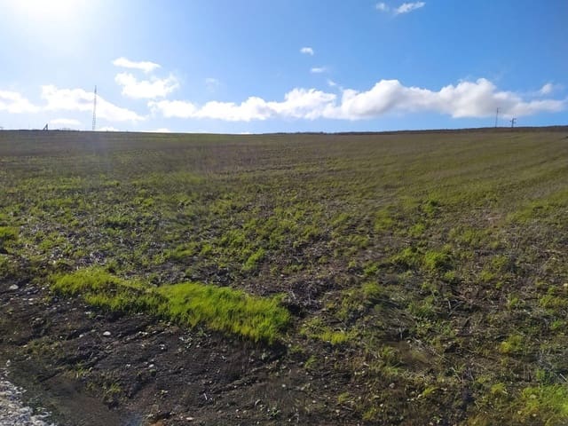 Ubebygd land til salgs i Medina-Sidonia - € 185 000 (Ref: 9927351)