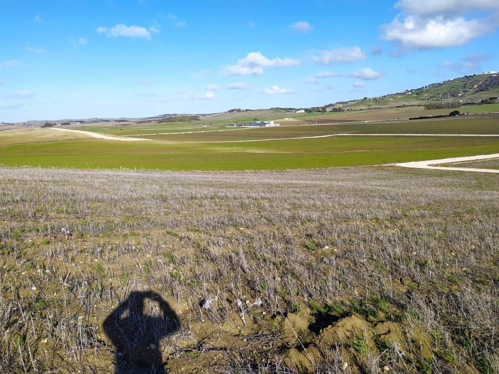 Undeveloped Land for sale in Medina-Sidonia - € 185,000 (Ref: 9927351)