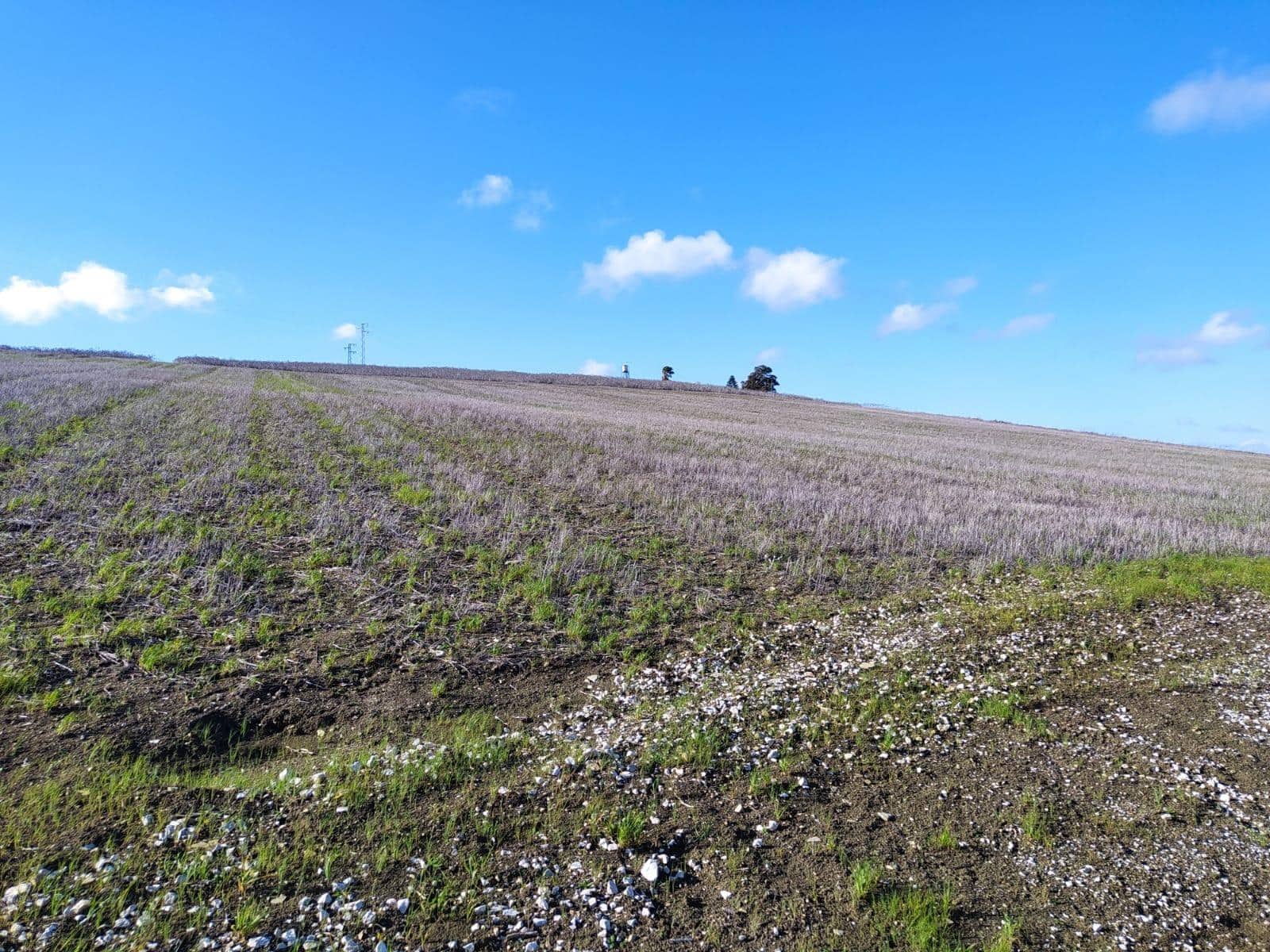 Undeveloped Land for sale in Medina-Sidonia - € 185,000 (Ref: 9927351)