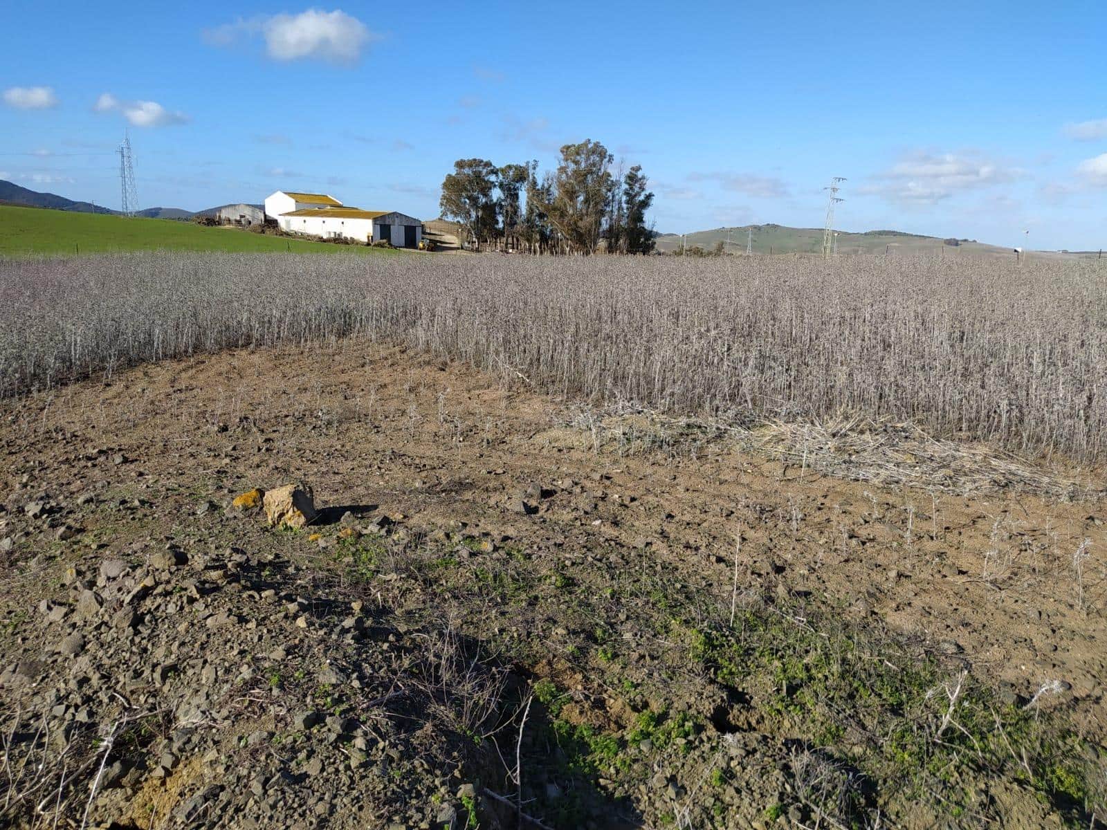 Undeveloped Land for sale in Medina-Sidonia - € 185,000 (Ref: 9927351)