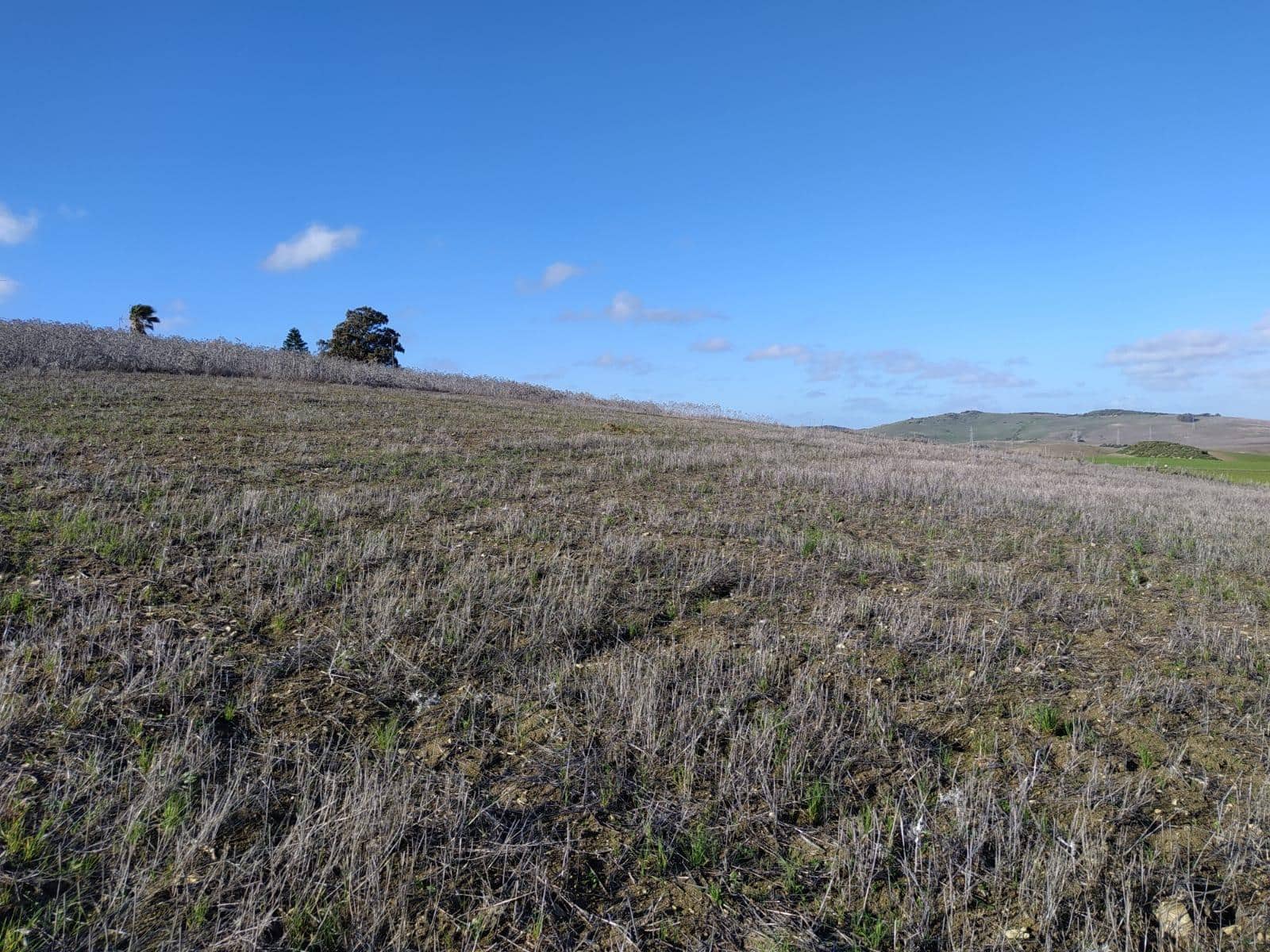Undeveloped Land for sale in Medina-Sidonia - € 185,000 (Ref: 9927351)