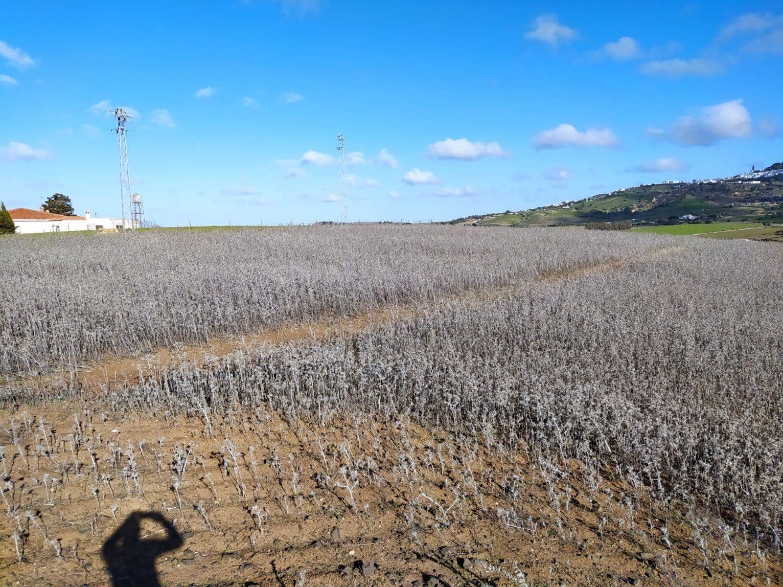 Undeveloped Land for sale in Medina-Sidonia - € 185,000 (Ref: 9927351)